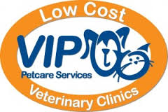 Five Powerful Lessons VIP Pet Care Can Teach You About Being Successful In Business!