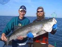 Sport Fishing: Ever Notice How Much It Mirrors Marketing Your Business?