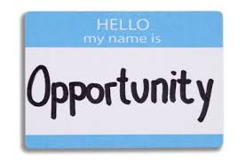 Business Opportunities: Just Because They're Everywhere Doesn't Mean You have To Squander Them!