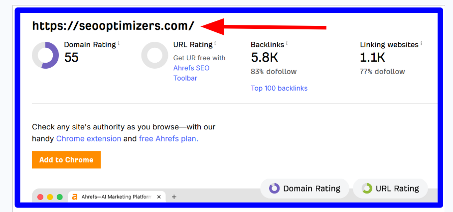 A screenshot image of Brandon Liebowitz's domain ranking